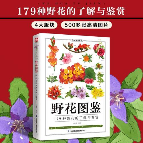 正版书籍   放心购支持七天无理由