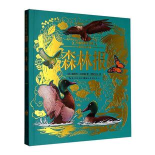 雅 湖北美术出版 小树知童书馆：森林报 9787571226831 社 美绘注音版
