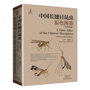 【书】中国长翅目昆虫原色图鉴 图文结合 中英文对照 中国长翅目昆虫分科、分属和分种检索表 图书 王吉申 花保祯 长翅