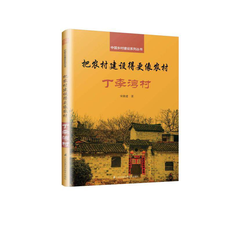 中*乡村建设系列丛书把农村建设得更像农村丁李湾村宋微建著中*乡村振兴规划书籍中*建筑文化书籍美丽乡村规划设计城乡规划书籍