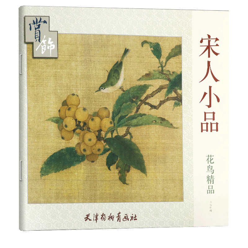 画法花鸟画起步入门临摹赏析国画入门技法教程教材作品集中国画书籍