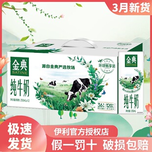 12盒营养早餐搭档纯奶整箱正品 3月新货 伊利金典纯牛奶250ml