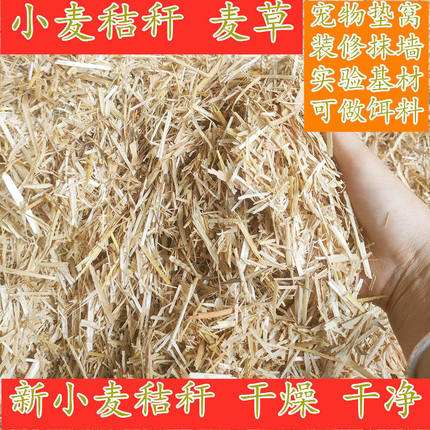 新小麦秆碎秸秆麦草短麦秆麦糠装修垫窝墙用饲料实验基材牛羊草料