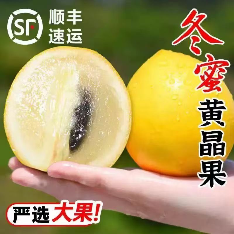 顺丰云南黄晶果当季现摘新鲜大果