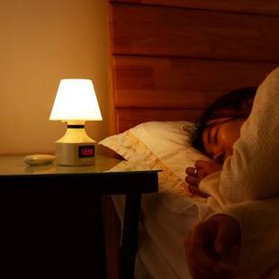 遥控小夜灯充电式 台灯带时间卧室创意氛围床头灯婴儿喂奶睡眠护眼