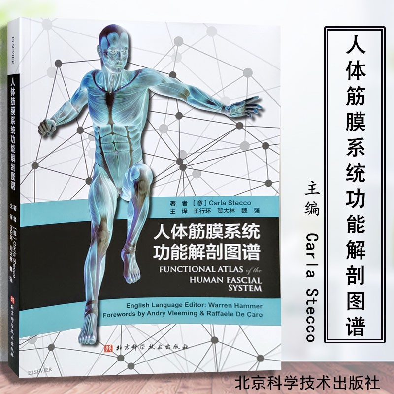 正版 人体筋膜系统功能解剖图谱 意大利引进中文简体版 王行环 贺大林 魏强著译 筋膜健身书 北京科学技术出版社9787530491232