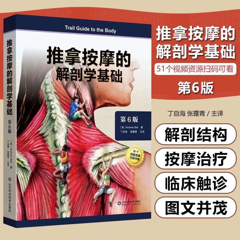 推拿按摩的解剖学基础 第6版 随作者安德鲁比尔的一步步讲解 明确如何定位和触诊全身91个人体结构 山东科学技术出版社