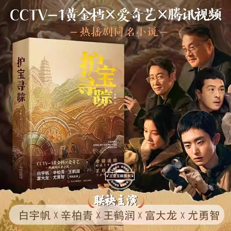 护宝寻踪 灵羲著 热播剧同名小说 考古与文物保护题材电视剧央视黄金档爱奇艺腾讯视频播出 白宇帆辛柏青王鹤润富大龙尤勇智主演
