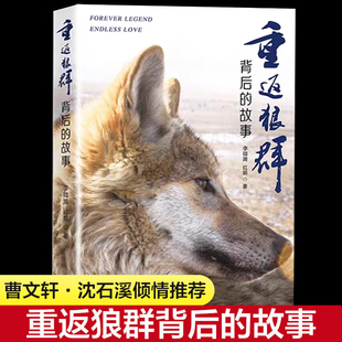 重返狼群背后的故事 李微漪 让我陪你重返狼群千里寻你重返狼群小学生三四五六年级课外阅读书籍 狼图腾姜戎沈石溪正版 海南出版社