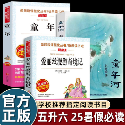 2025暑假阅读书单五升六年级必读 童年高尔基著爱丽丝漫游奇境精编童年河指定书香鲁韵万物复书八桂阅读 儿童文学推荐阅读
