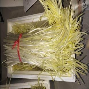 韭黄种植筒专用种植外罩锥形遮光套韭黄罩防晒农业避光菜园隔光
