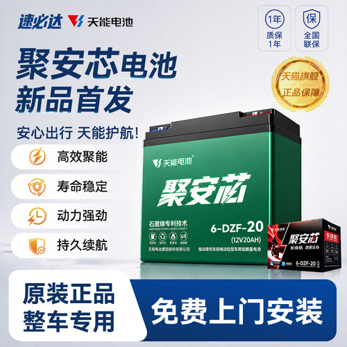 天能聚安芯铅酸电池48V60V72V