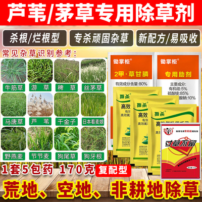 （官方推荐）除芦苇专用药