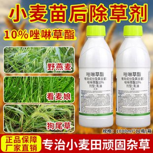 10%唑啉草酯小麦田苗后除草剂野燕麦看麦娘多花黑麦草禾本科杂草
