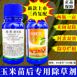 玉米地苗后除草专用剂除草烂根剂护苗型烟嘧磺隆莠去津滴辛酯农药