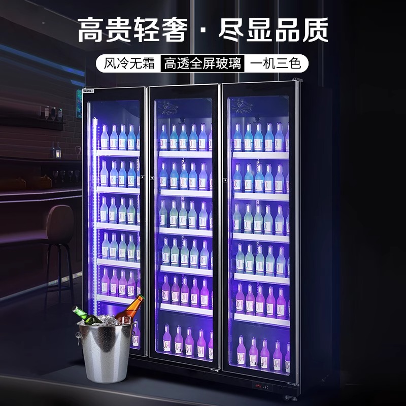 星星展示柜双开门啤酒饮料柜冰箱饮料商用冷藏保鲜柜风冷无霜冰柜