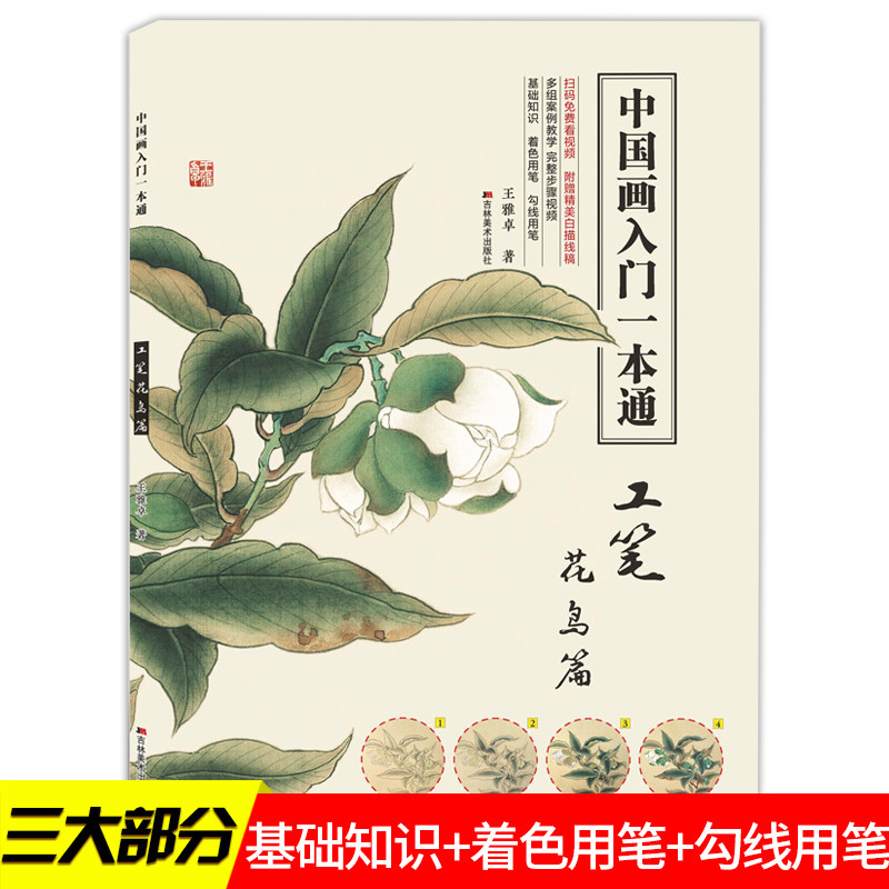 正版 中国画技法入门一本通 工笔花鸟篇 王雅 零基础教程 写意临摹初学者自学儿童教材动物花鸟牡丹梅兰竹菊水墨中国画册范本