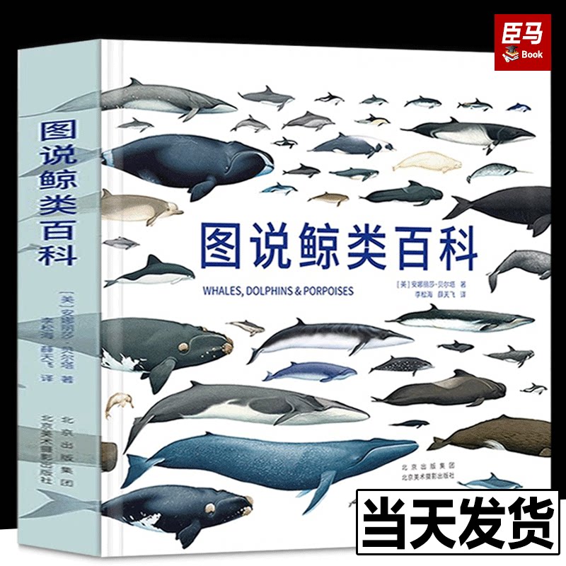 图说鲸类百科 细致讲述鲸类物种的基本信息种群特征全球分布典型外形潜水次序及海表行为体型大小可辨识特征 系统介绍鲸类科普读物