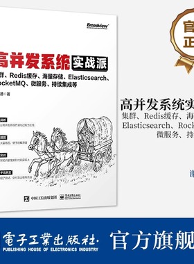 官方旗舰店 高并发系统实战派 集群 Redis缓存 海量存储 Elasticsearch RocketMQ 微服务 持续集成等 企业系统技术框架搭建技术