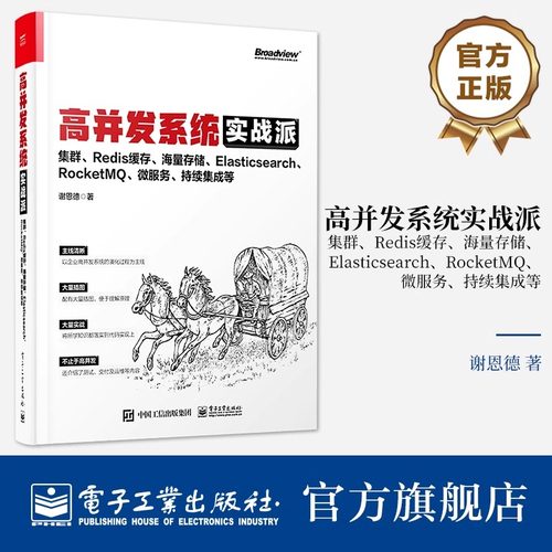 官方旗舰店 高并发系统实战派 集群 Redis缓存 海量存储 Elasticsearch RocketMQ 微服务 持续集成等 企业系统技术框架搭建技术