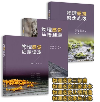 写给青少年的物理启蒙读本全3册 物理感觉启蒙读本+物理感觉从悟到通+物理感觉聚焦心像 中学物理问题的本质 范洪义 吴泽 物理科普