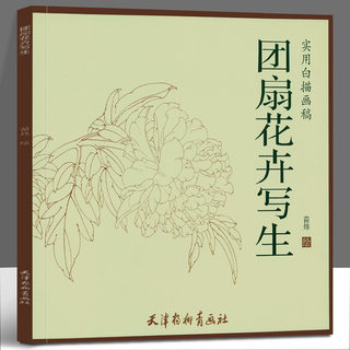 实用白描画稿团扇花卉写生 天津杨柳青画社 苗炜绘 荷花 杜鹃 画国画技法花卉画苗炜白描作品欣赏 临摹书 花卉画稿 正版包邮