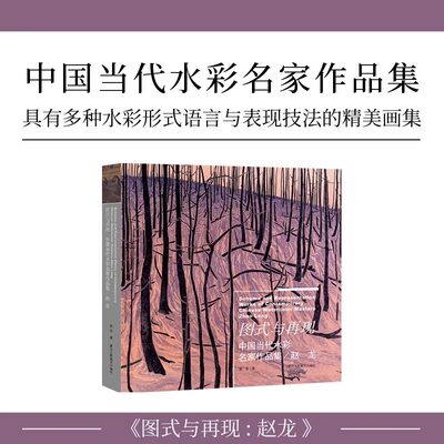 现货正版 图式与再现-赵龙 中国当代水彩名家作品集 水彩画家水彩形式语言与表现技法的精美画集 丹青画刊纸张印刷