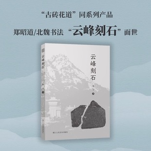 云峰刻石 赖非著 北魏郑道昭摩崖刻石郑文公上下碑天柱山铭等刻石书法作品书法篆刻爱好者收藏鉴赏历史研究书籍浙江人民美术出版社