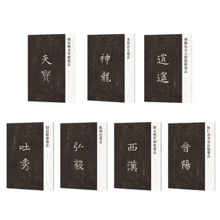 新出隋唐碑志精编 永泰公主 隋大将军杨素 狄仁杰书袁公瑜 颜勤礼夫人殷懿姬 唐代楷书小楷毛笔书法碑帖临习临摹鉴赏范本 河南美术