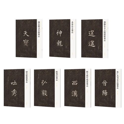 新出隋唐碑志精编 永泰公主 隋大将军杨素 狄仁杰书袁公瑜 颜勤礼夫人殷懿姬 唐代楷书小楷毛笔书法碑帖临习临摹鉴赏范本 河南美术
