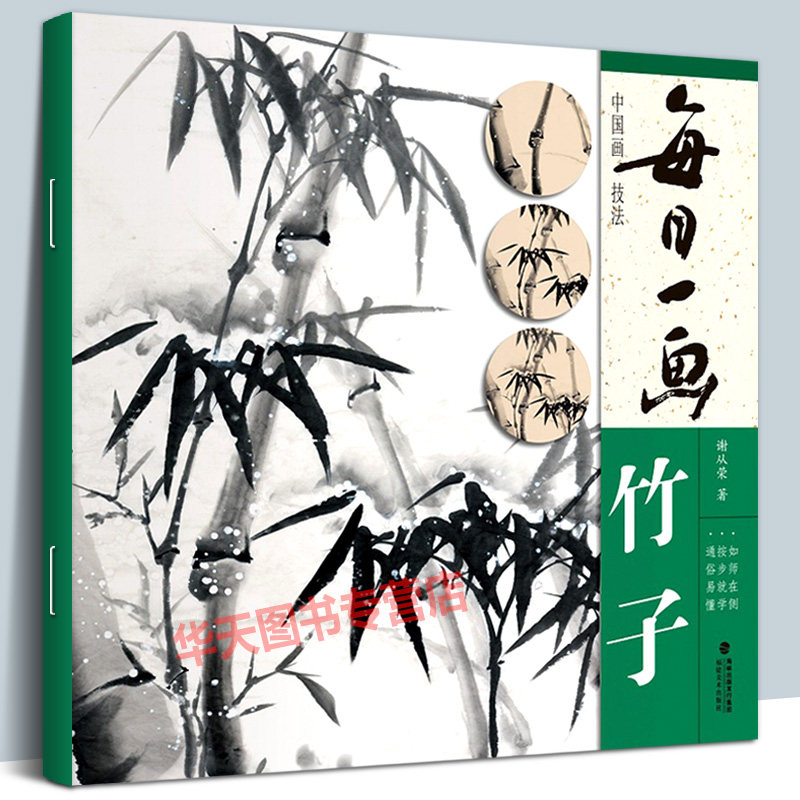 竹子中国画技法 写意水墨画竹子册页/工笔画竹子技法画法步骤大全集