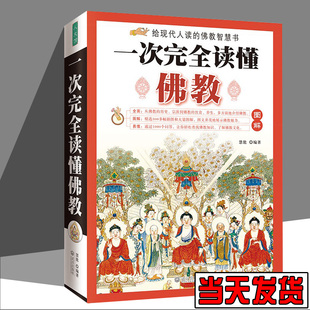 图解读懂佛教 现代人的佛法学书 佛经入门读物佛教常识读经方法佛经解析 心经金刚楞严华严法华经 佛教流传发展基本结构