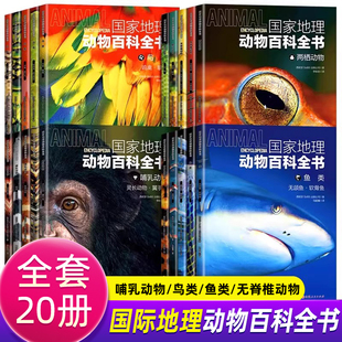 【正版 现货】全套20册 高清彩图版 国家地理动物百科全书 鱼类 鸟类无颌鱼软骨鱼生物科普百科.鸟类-鸣禽·攀禽 爬行动物两栖动物
