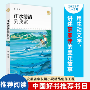 15岁小学生四五六年级初中生青少年课外阅读中长篇小说儿童文学阅读书目 致敬中国系列9 江水清清到我家 栗亮著