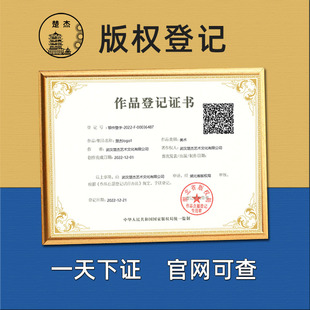 加急美术作品版权登记动漫ip视频音乐logo图文字著作湖北知识产权