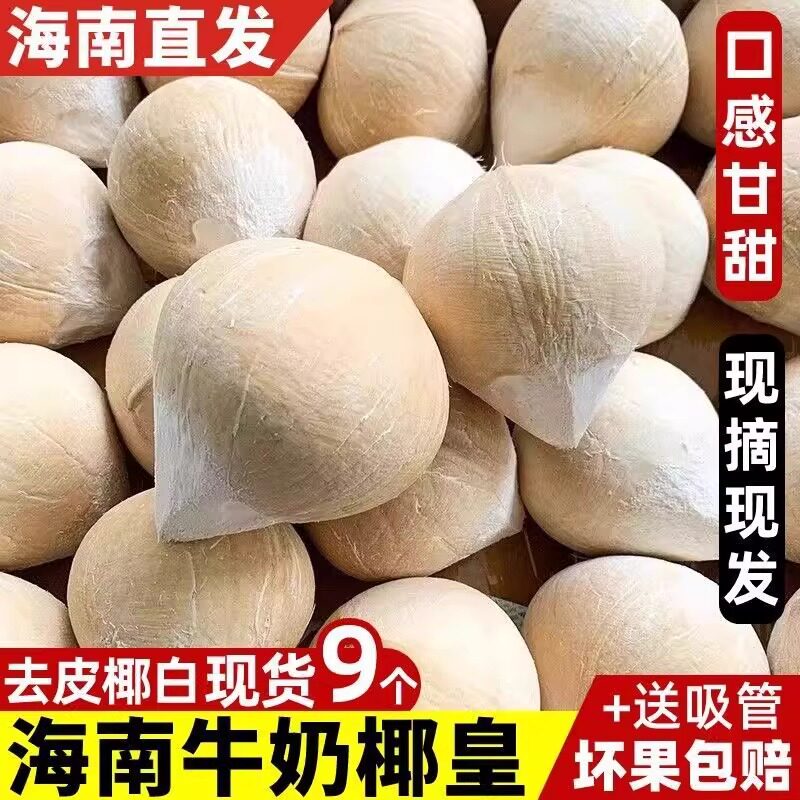 正宗海南小个牛奶香椰子椰青椰白