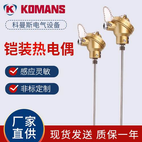 厂家供应 K型铠装热电偶 热电阻 电厂炉壁式电热偶0-1300度高温