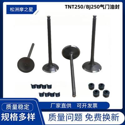 赛车配件气门Benelli BJ250-15ABJ250 TNT250进排气门套件TNT250