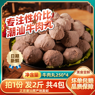 小食熊潮汕正宗手打牛肉丸牛筋丸潮州特产美食火锅丸烧烤食材批发