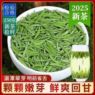 2025新茶叶湄潭翠芽明前特级雀舌贵州绿茶高端春茶250g浓香型散装