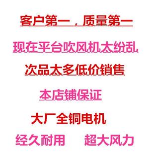 定制电动手提式 大功率工业级充电吹风机工地吹灰除尘家用庭院鼓风