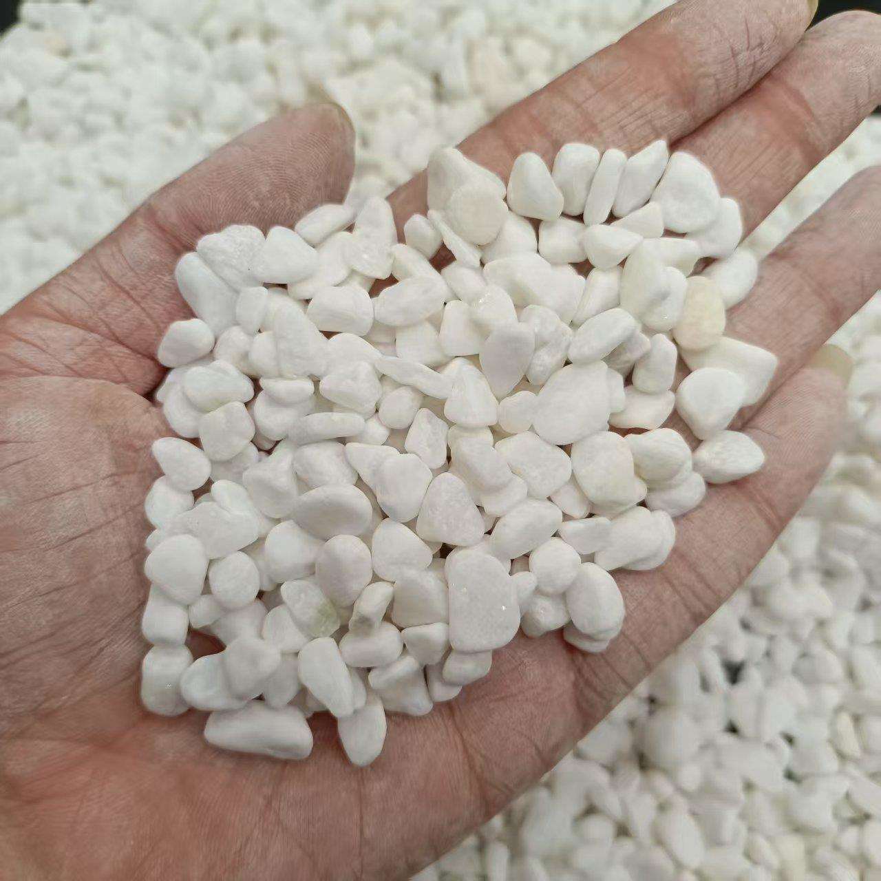 白石子鹅卵石白石子多肉铺面石盆栽花盆造景养花水培白色石子