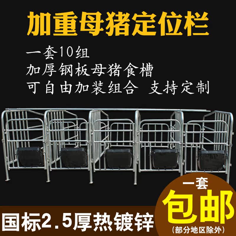 新品母猪定位栏10母猪限位栏带10个钢板母猪食槽母猪产床养猪厂设