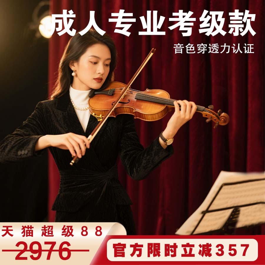 成人专业考级款小提琴