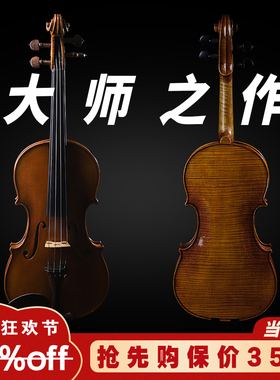 SEENWINS圣维斯SW030演奏级欧料手工小提琴意大利云杉大师之作