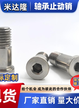 轴承止动销 BGPM6 8 10 12-9 11 12 14 15 16 17 18-L20 L25 L30