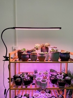 多肉补光增色灯定时USB夹子式上色全光谱LED花卉盆景植物灯生长灯