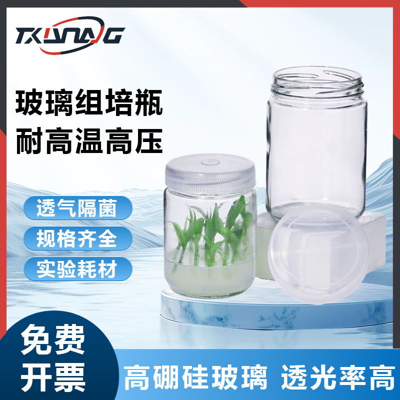 Labshrk玻璃组培瓶养植物