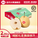 佳农新疆天山雪梨脆甜多汁新鲜水果7 净重4.5斤顺丰发货 9粒彩箱装