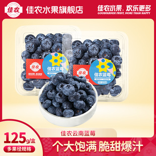 佳农云南蓝莓25年新鲜水果当季 蓝莓